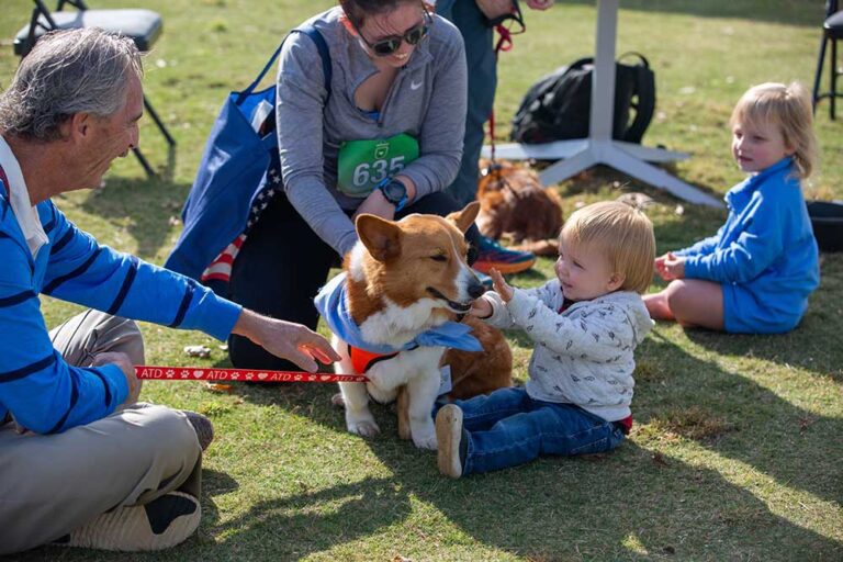 a toddler and two adults play with a dog